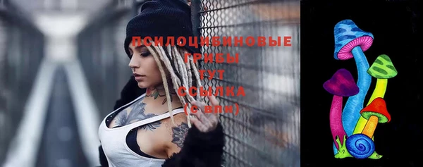 прущие грибы Балабаново