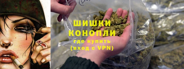 прущие грибы Балабаново