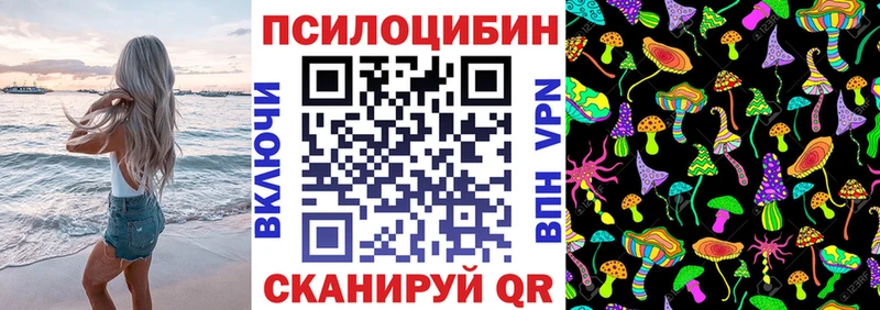 Галлюциногенные грибы Psilocybe  хочу   Талдом 